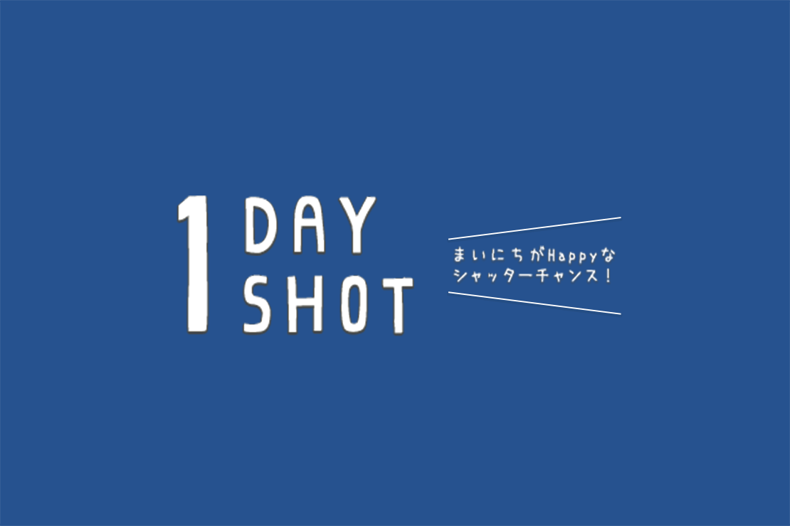 1DAY1SHOT